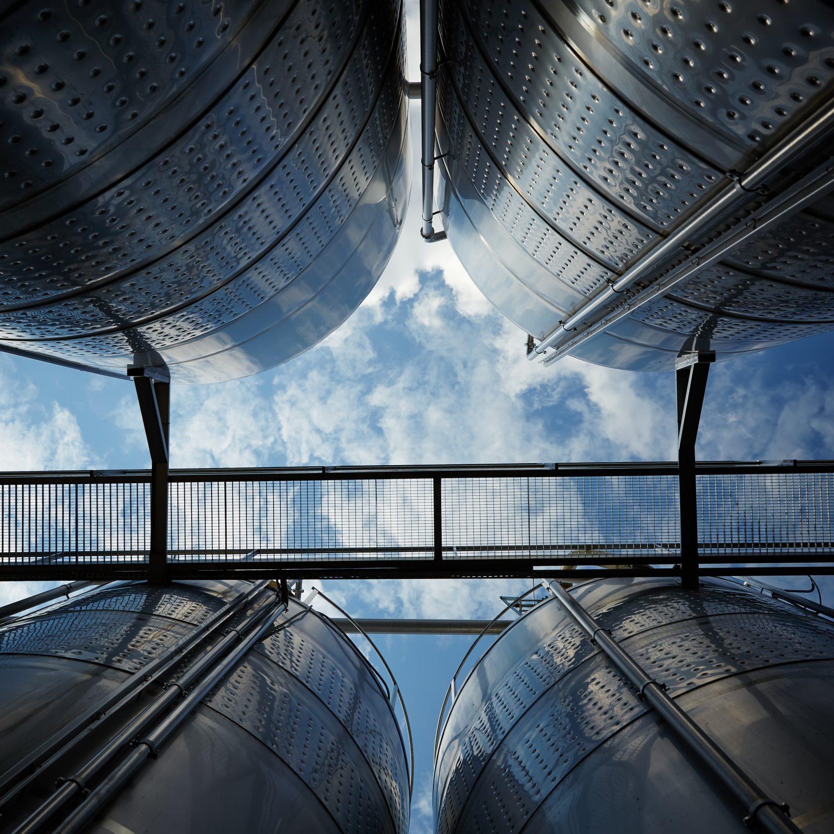 wine industry