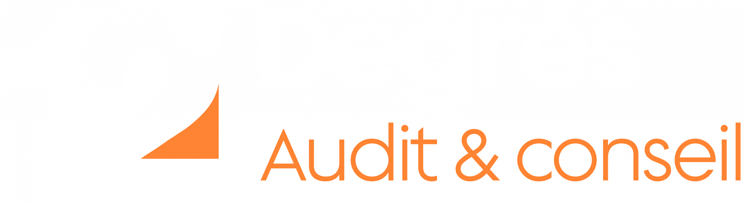 audit